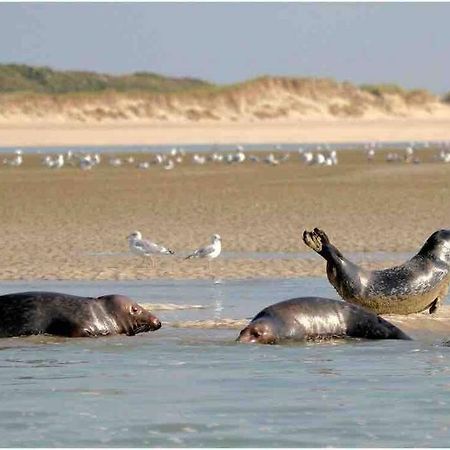 Escapade Berckoise, Berck Plage Ngoại thất bức ảnh