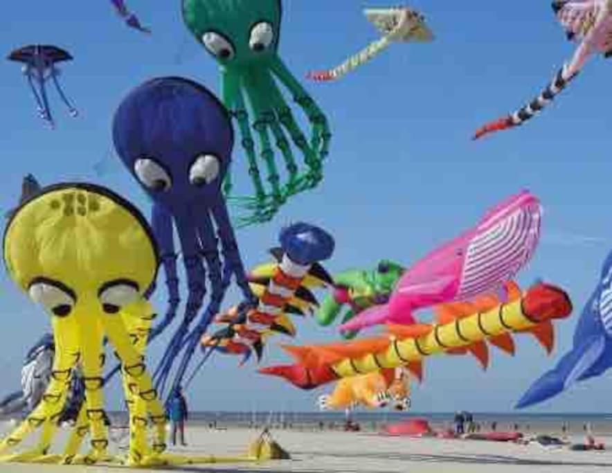 Escapade Berckoise, Berck Plage Ngoại thất bức ảnh