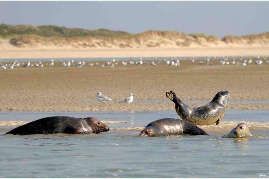 Escapade Berckoise, Berck Plage Ngoại thất bức ảnh